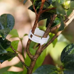 Stützklammern für Gartenpflanzen – Sichere grüne Pfähle für das Pflanzenwachstum