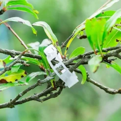 Stützklammern für Gartenpflanzen – Sichere grüne Pfähle für das Pflanzenwachstum