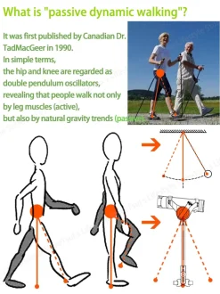 Stützstock für Senioren - Gehhilfe für ältere Menschen