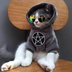 Stylischer Hunde-Hoodie - Gemütliches Haustier-Sweatshirt