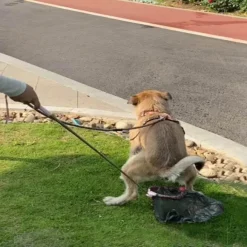Teleskop-Haustierkotschaufel - Werkzeug zur Kotschaufel für den Außenbereich