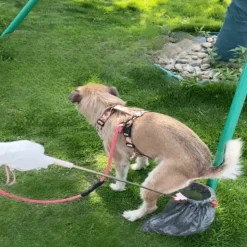 Teleskop-Haustierkotschaufel - Werkzeug zur Kotschaufel für den Außenbereich