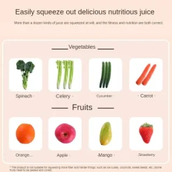 Tragbarer Entsafter – Schneller und einfacher Saftmacher