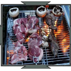 Tragbarer Minigrill – Faltbarer Reisegrill