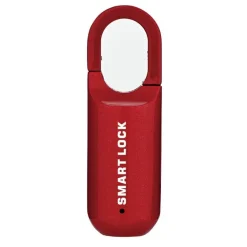 Tragbares Mini-Diebstahlschutzschloss – Smart-Touch-Sicherheitsgerät