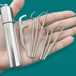 Tragbares Zahnstocher-Reinigungsset – Minty Travel Dental Tool