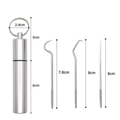 Tragbares Zahnstocher-Reinigungsset – Minty Travel Dental Tool
