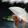 Transparenter Haustier-Regenschirm – Kreatives Accessoire zum Gassigehen mit dem Hund