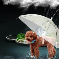 Transparenter Haustier-Regenschirm – Kreatives Accessoire zum Gassigehen mit dem Hund