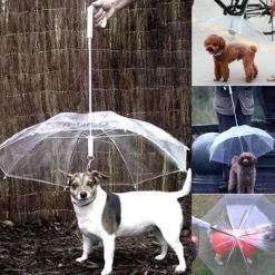 Transparenter Haustier-Regenschirm – Kreatives Accessoire zum Gassigehen mit dem Hund
