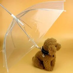 Transparenter Haustier-Regenschirm – Kreatives Accessoire zum Gassigehen mit dem Hund