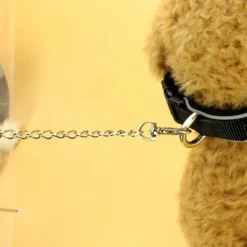 Transparenter Haustier-Regenschirm – Kreatives Accessoire zum Gassigehen mit dem Hund