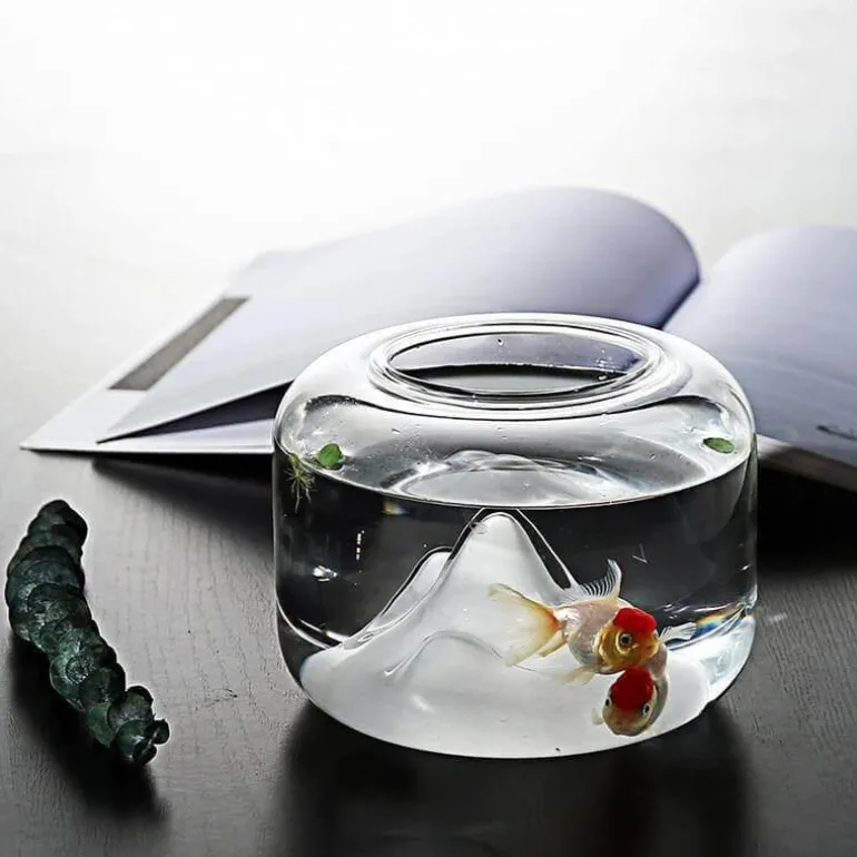 Transparentes Aquarium - Schneeberg-Aquariumdekor