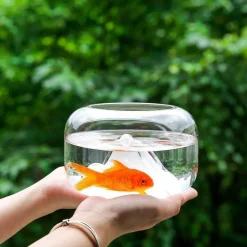 Transparentes Aquarium - Schneeberg-Aquariumdekor