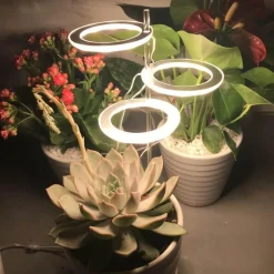 5V LED Plant Light - Indoor Grow Lamp for Gardening