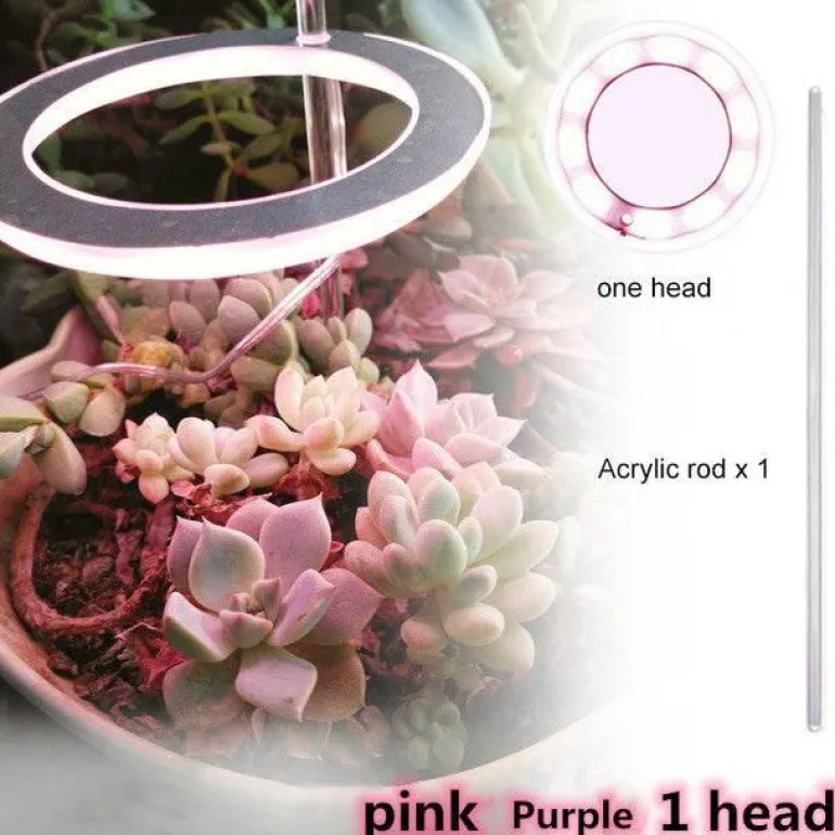 5V LED Plant Light - Indoor Grow Lamp for Gardening
