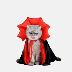 Vampir-Katzenkostüm – Gruseliges Halloween-Haustier-Outfit