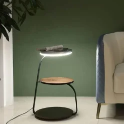 Varnished Floor Lamp - Elegant Home Lighting