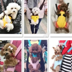 Verstellbarer Haustier-Tragerucksack – tragbar für Reisen für Hunde und Katzen