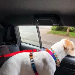 Verstellbarer Sicherheitsgurt für Hunde im Auto – Sicheres Sicherheitsgeschirr für Haustiere