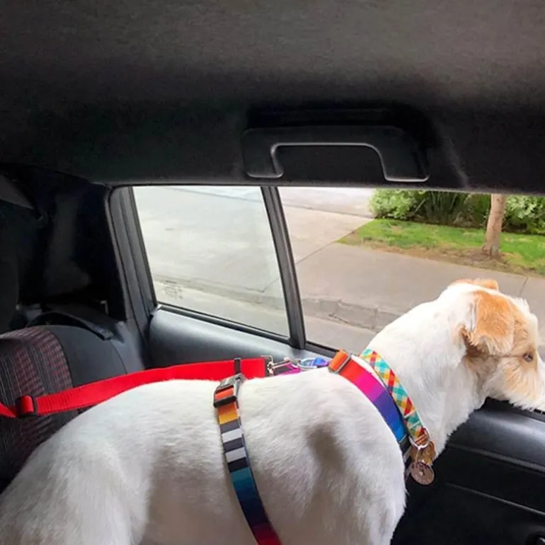 Verstellbarer Sicherheitsgurt für Hunde im Auto – Sicheres Sicherheitsgeschirr für Haustiere