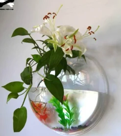 Wandmontierte Blumenvase für Aquarien – transparentes Aquarium-Dekor