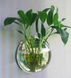 Wandmontierte Blumenvase für Aquarien – transparentes Aquarium-Dekor