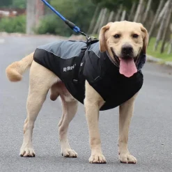 Wasserdichte Winterjacke für Hunde – warmer, gemütlicher Haustiermantel