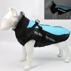 Wasserdichte Winterjacke für Hunde – warmer, gemütlicher Haustiermantel