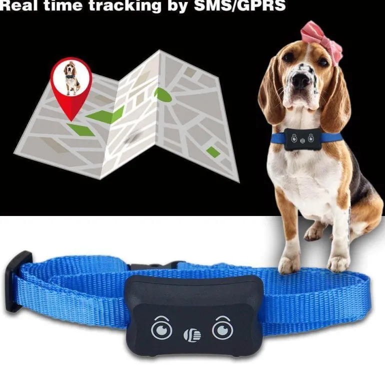 Wasserdichter GPS-Haustier-Tracker – Echtzeit-Ortungshalsband für Hunde und Katzen
