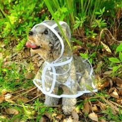 Wasserdichter Hunderegenmantel – Haustierjacke zum Schutz vor nassem Wetter