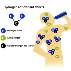 Wassergenerator mit hohem Wasserstoffgehalt - Japanischer Wasserreiniger