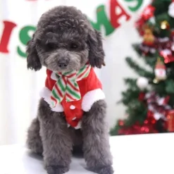 Weihnachtsmann-Hundekostüm – Feiertags-Haustier-Outfit