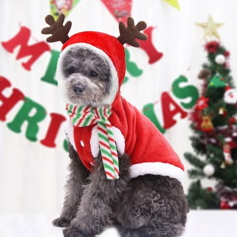Weihnachtsmann-Hundekostüm – Feiertags-Haustier-Outfit