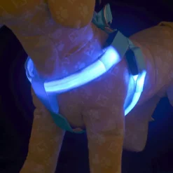 Wiederaufladbare LED-Hundeleine – Leuchtende Sicherheitsleine für Haustiere