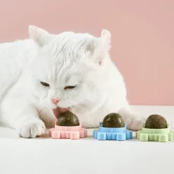 Zahnpflege-Kauball mit Katzenminze – 360° drehbares Katzenspielzeug für gesunde Zähne